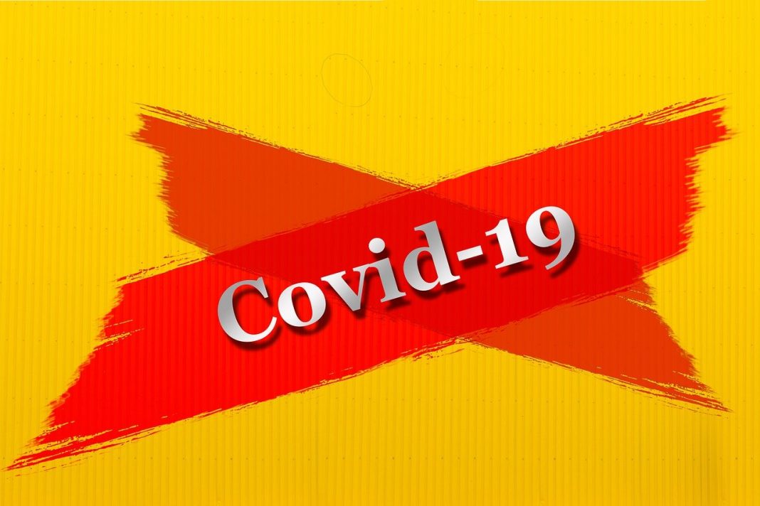 covid-19