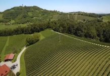 Svečina bo konec septembra ponovno zaživela v prazničnem utripu