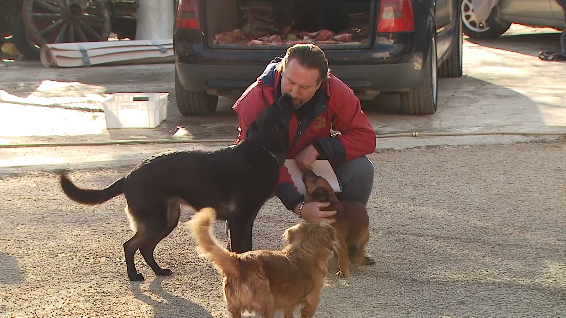 Aleksander Kamenik je rešil že na stotine psov