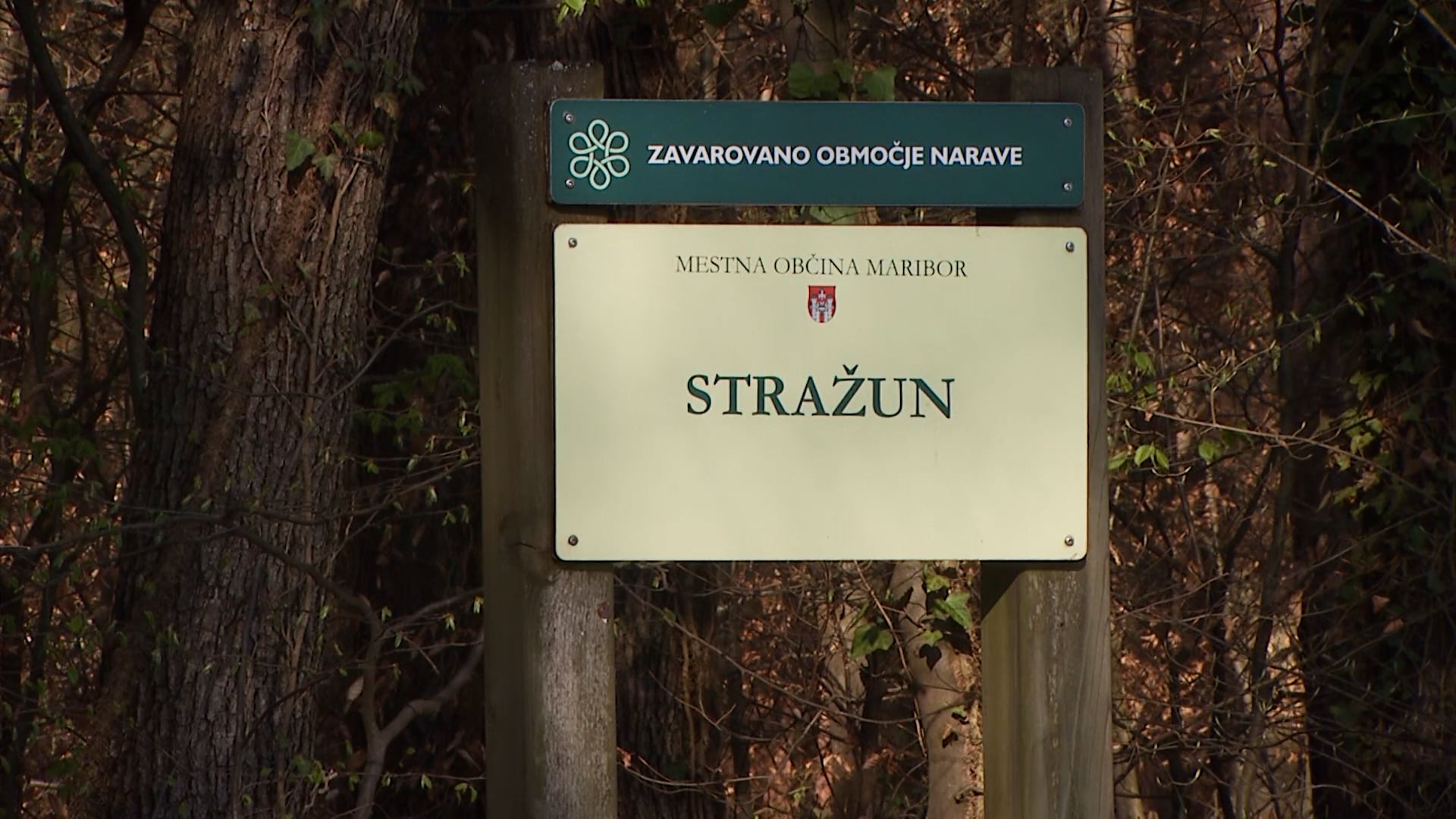 Bo promet “pregnan” iz Stražuna?