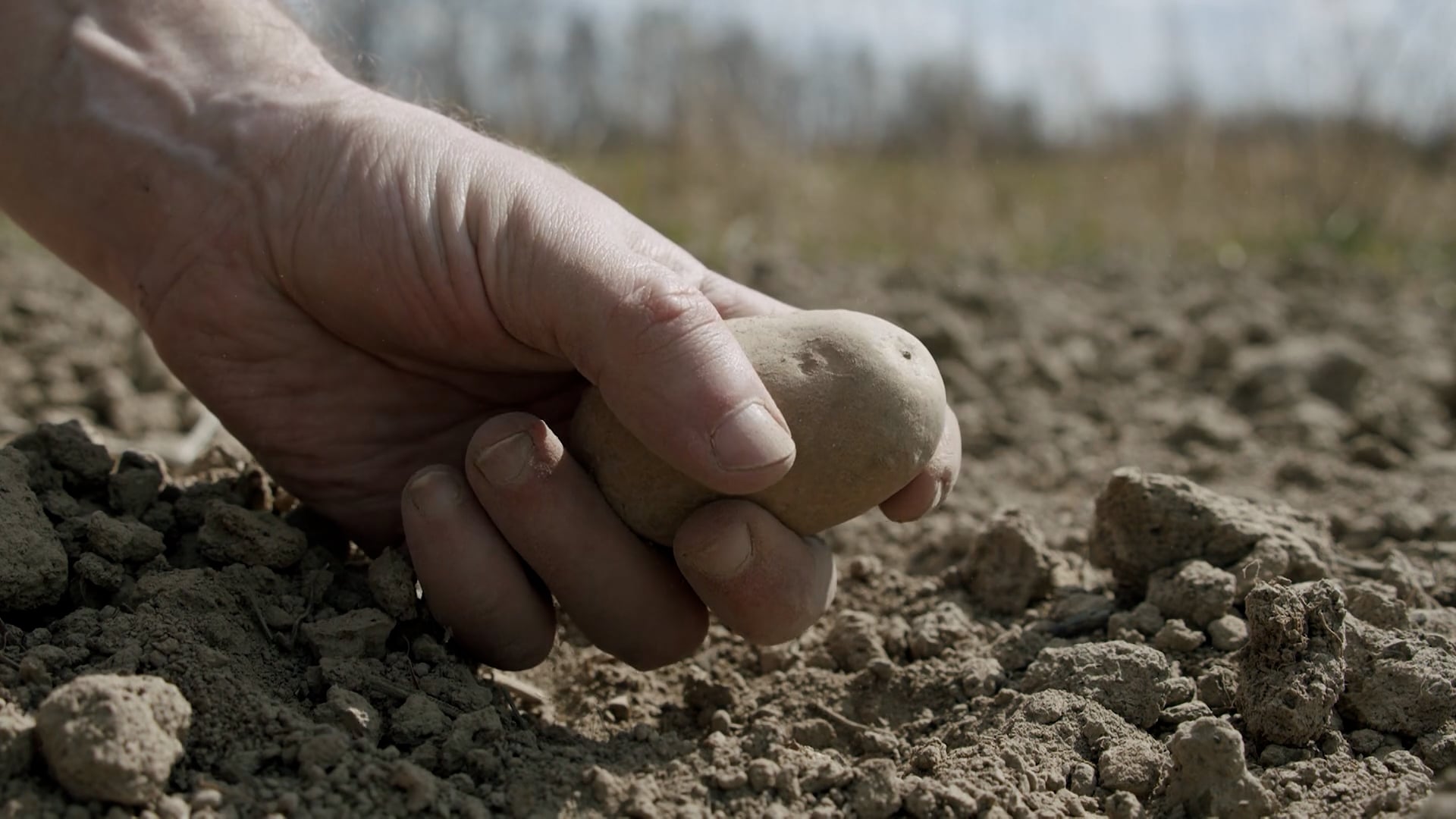 V prihodnosti bomo bolj kot o luksuzu razmišljali o preživetju