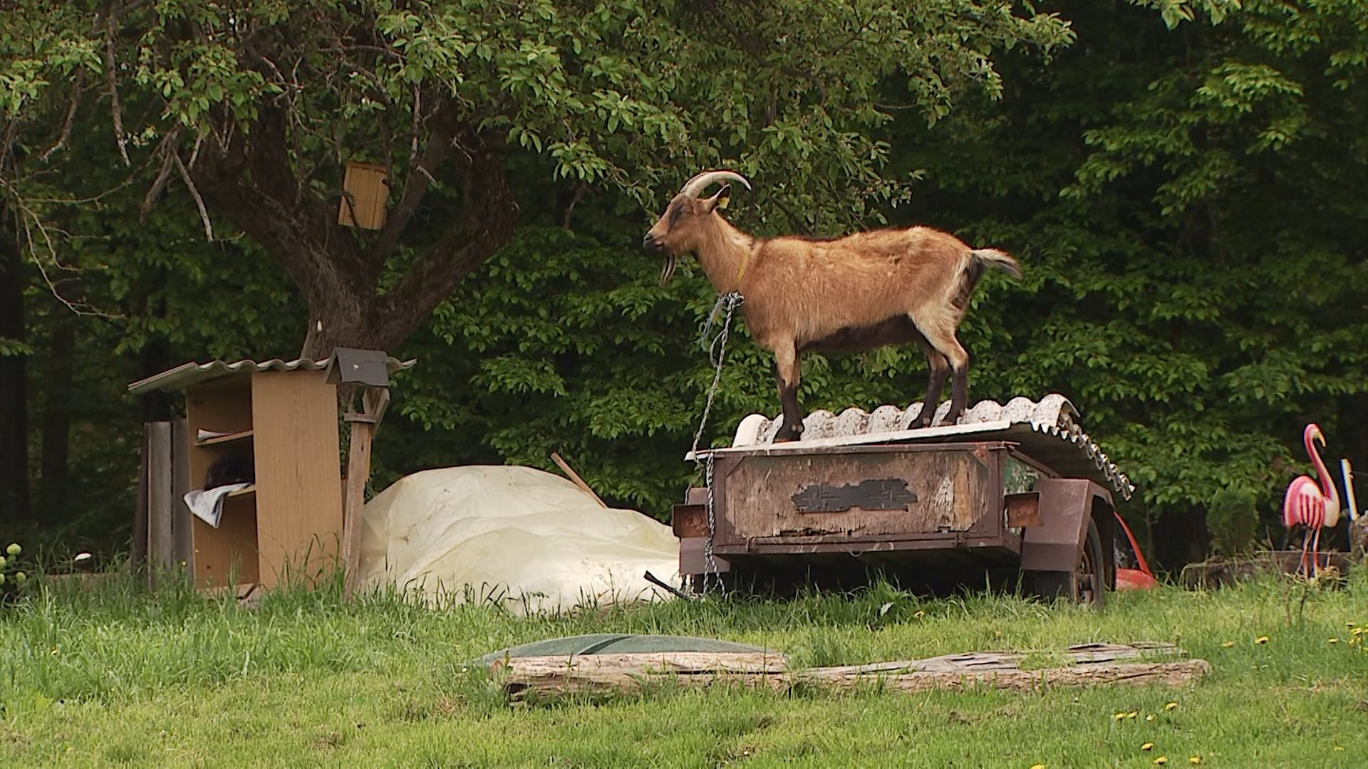 Regionalni utrip meseca maja