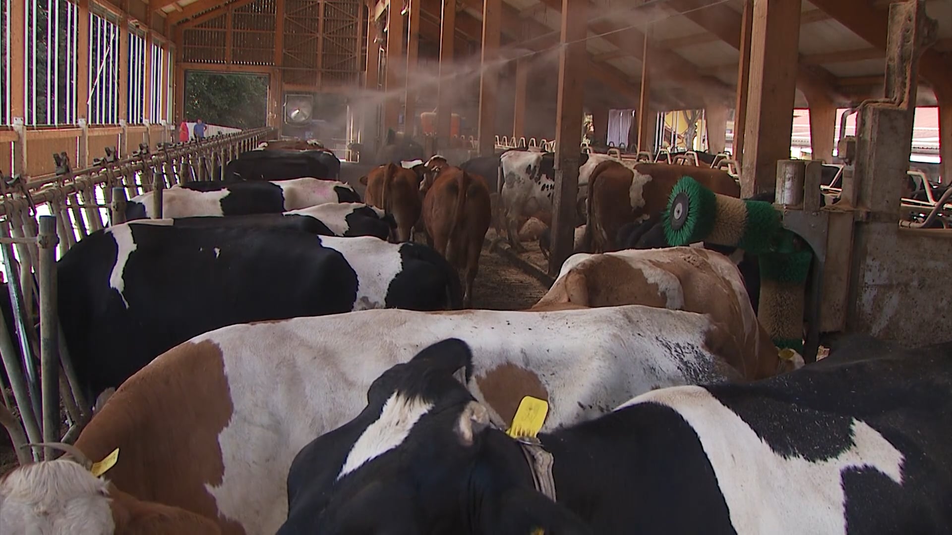 Trud je vedno poplačan