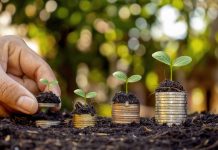 Začenja se zbiranje vlog za subvencije