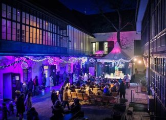 Vilinsko mesto; festival čarobnih “dogodivščinc”