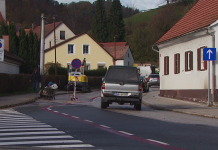 Zbor krajanov in krajank v Kamnici: Pomembne teme v razpravi