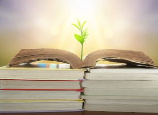 Dodatna znanja za mlade prevzemnike