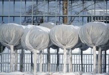 Nizke temperature bodo povzročile veliko škode