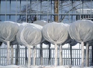 Nizke temperature bodo povzročile veliko škode