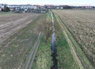 Oživitev okolice Pekrskega potoka