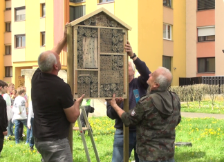 Mesto skrbi za opraševalce