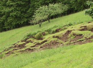 Zvečer in ponoči še trije novi plazovi v občinah Lenart in Šentilj