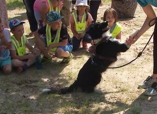 Šentilj je bogatejši za prvi pasji park