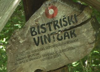 Bistriški vintgar vnovič odprt