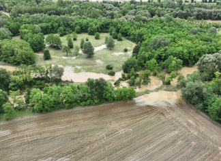 Poplave so prizadele naselje Krčevina pri Vurbergu