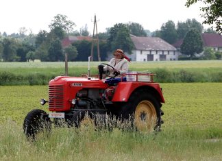 Kakšno je sporočilo mednarodnega dneva žensk na podeželju?