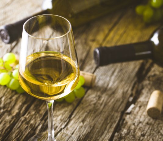 Festival Salon Sauvignon letos prvič tudi v Ljubljani