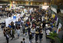 Karierni sejem Maribor 2025: Vesolje priložnosti za mlade in družine