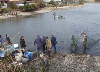 Izlov neavtohtonih vrst rib