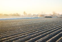 Čas je za zimski počitek