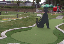 Ureditev parka doživetij za 4,5 milijona evrov