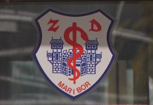 Digitalno uvajanje sistema zVEM