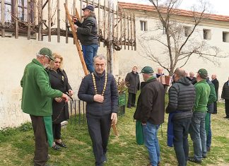 Jubilejni 30. rez potomke stare trte