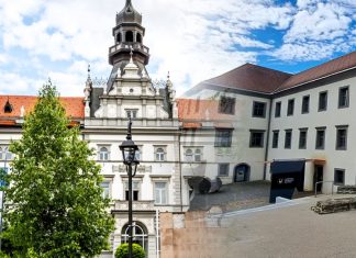 Nesorazmerno financiranje Narodnega doma in Lutkovnega gledališča