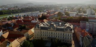 Maribor ohranja naziv svetovno mesto dreves