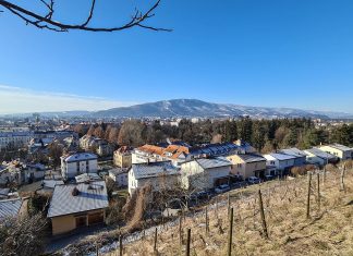 Maribor na poti zelene preobrazbe