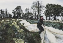 Povečano tveganje za pozebo in škodo na pridelkih