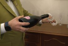 Vinski letnik 2023 – plus prav dobro