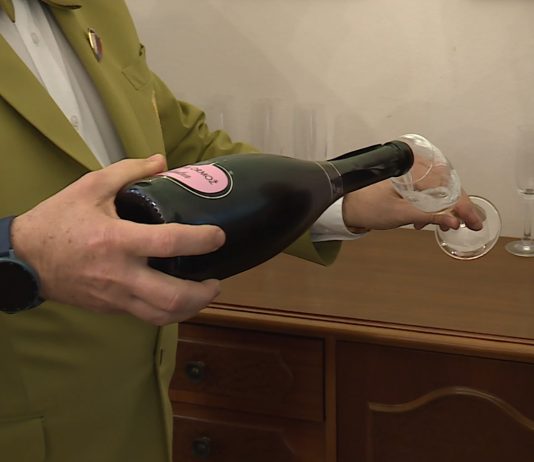 Vinski letnik 2023 – plus prav dobro