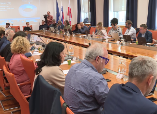 Se obetajo številne rošade v nadzornih svetih holdinga?