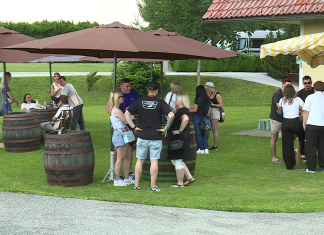 Dobro obiskan dan odprtih vrat vinarjev Jakoba