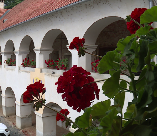 32. Mednarodni arhivski raziskovalni tabor bo potekal v Beltincih