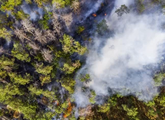 Preklic velike požarne ogroženosti tudi za Podravje