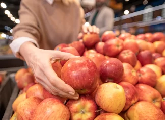 Škoda po neurju v Slovenskih goricah