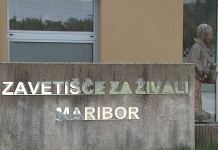 Spoznaj zavetišče – spoznaj tačke v Mariboru