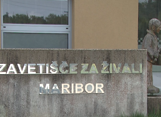 Spoznaj zavetišče – spoznaj tačke v Mariboru