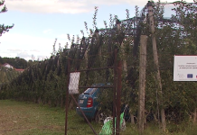 Izzivi in priložnosti razvoja namakanja v slovenskem kmetijstvu