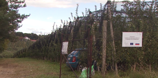 Izzivi in priložnosti razvoja namakanja v slovenskem kmetijstvu