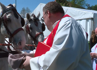 V Juriju ob Pesnici zaključili tridnevno Jurjevanje
