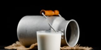 Odkupna cena mleka že osmi mesec v padanju, kmetje opozarjajo na vse slabši položaj