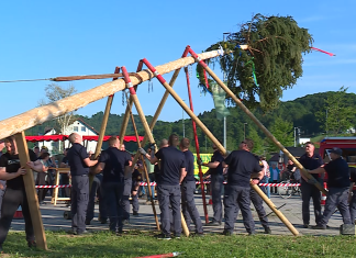 Majsko drevo v Šentilju – praznik skupnosti in tradicije
