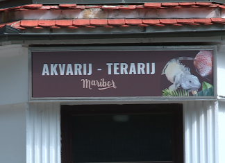 Negotova prihodnost mariborskega akvarij-terarija
