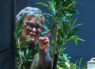 Predstava »Moja babi, socialistični mrtvak« navdušila Ruše