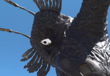 Priprave na 66. Kurentovanje na Ptuju