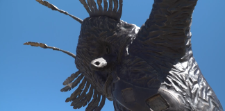 Kurentovanje na Ptuju: tradicija, sodoben karneval in mednarodni ugled