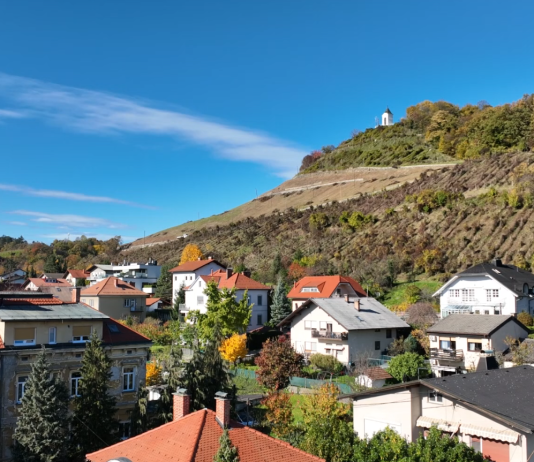 Piramida v Mariboru prenovljena pred rokom: vrača se vinogradniška podoba